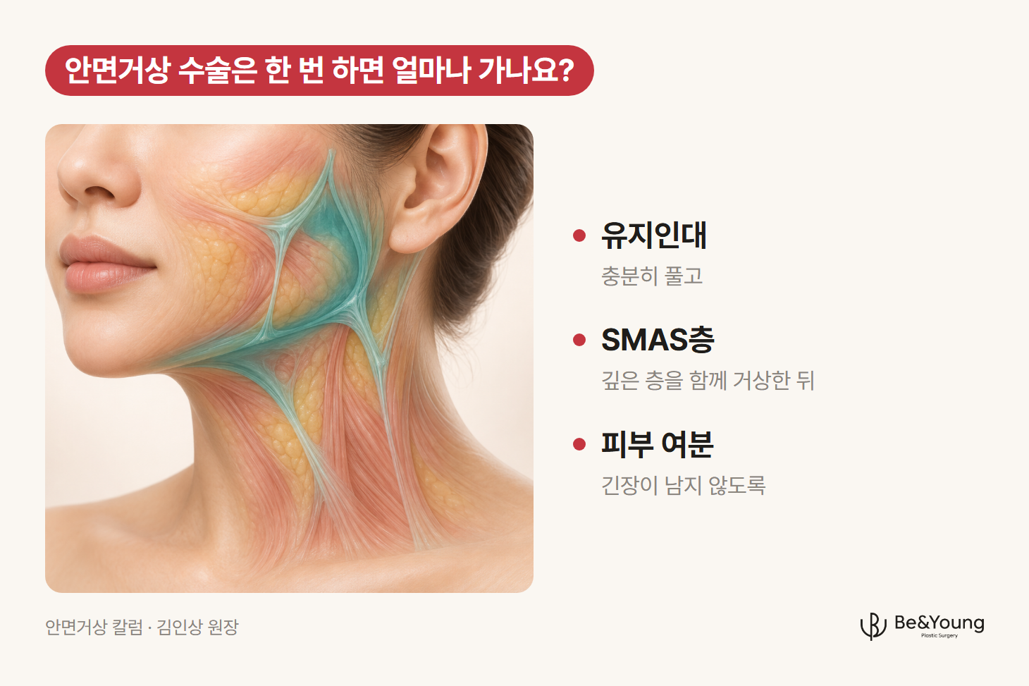 피부 아래 지방층과 SMAS층, 유지인대가 겹친 얼굴의 층 구조
