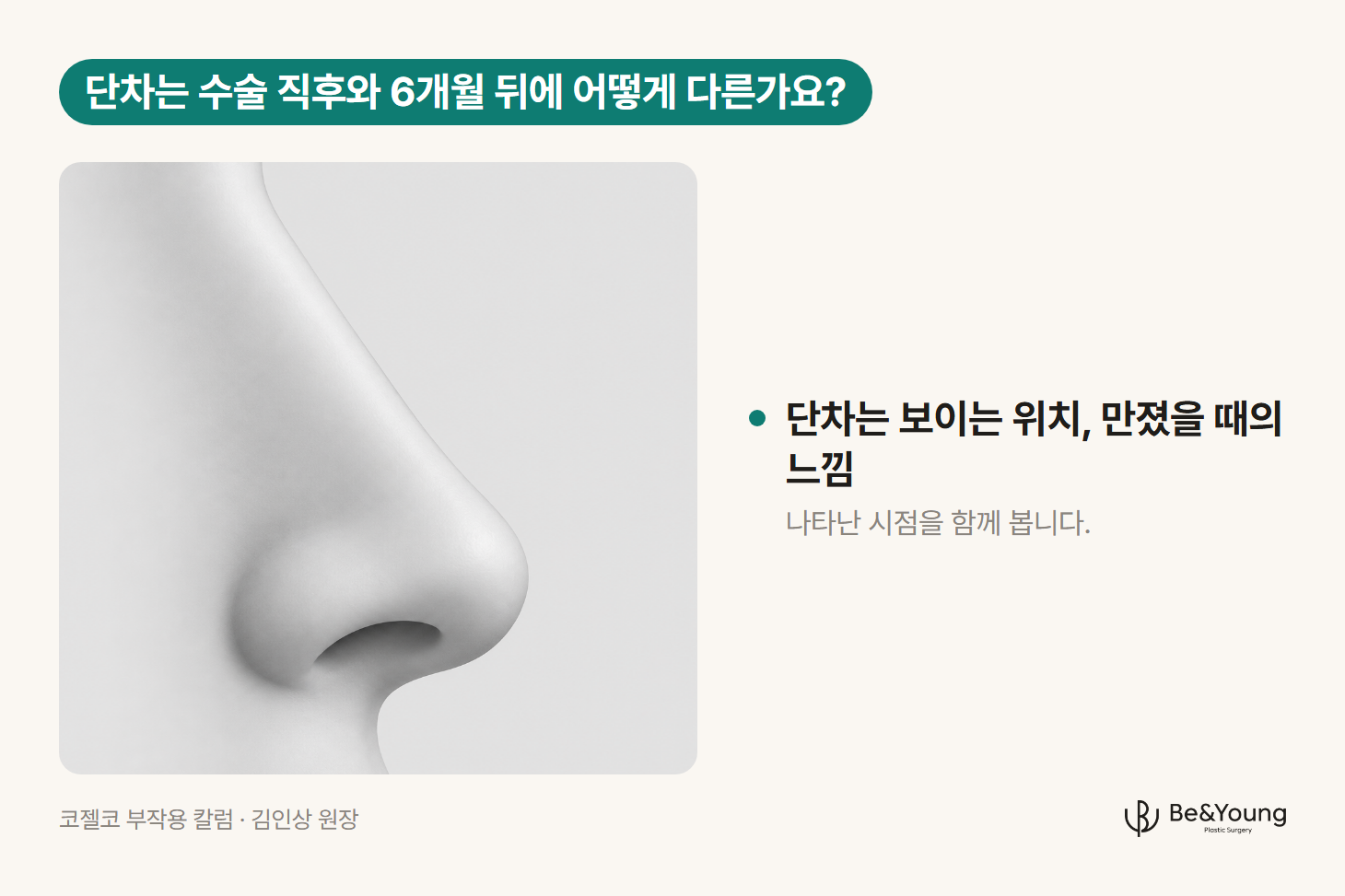 측면 클로즈업에서 콧등 표면의 미세한 단차를 음영으로만 보여주는 일러스트