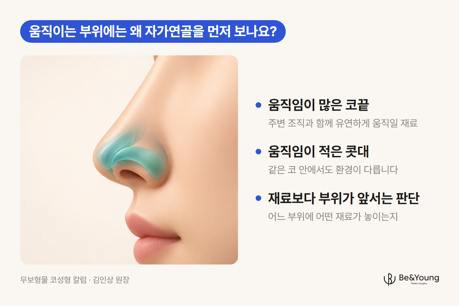 코 옆모습의 피부 아래에서 움직임이 많은 코끝 날개연골의 위치와 방향을 보여주는 내부구조 일러스트