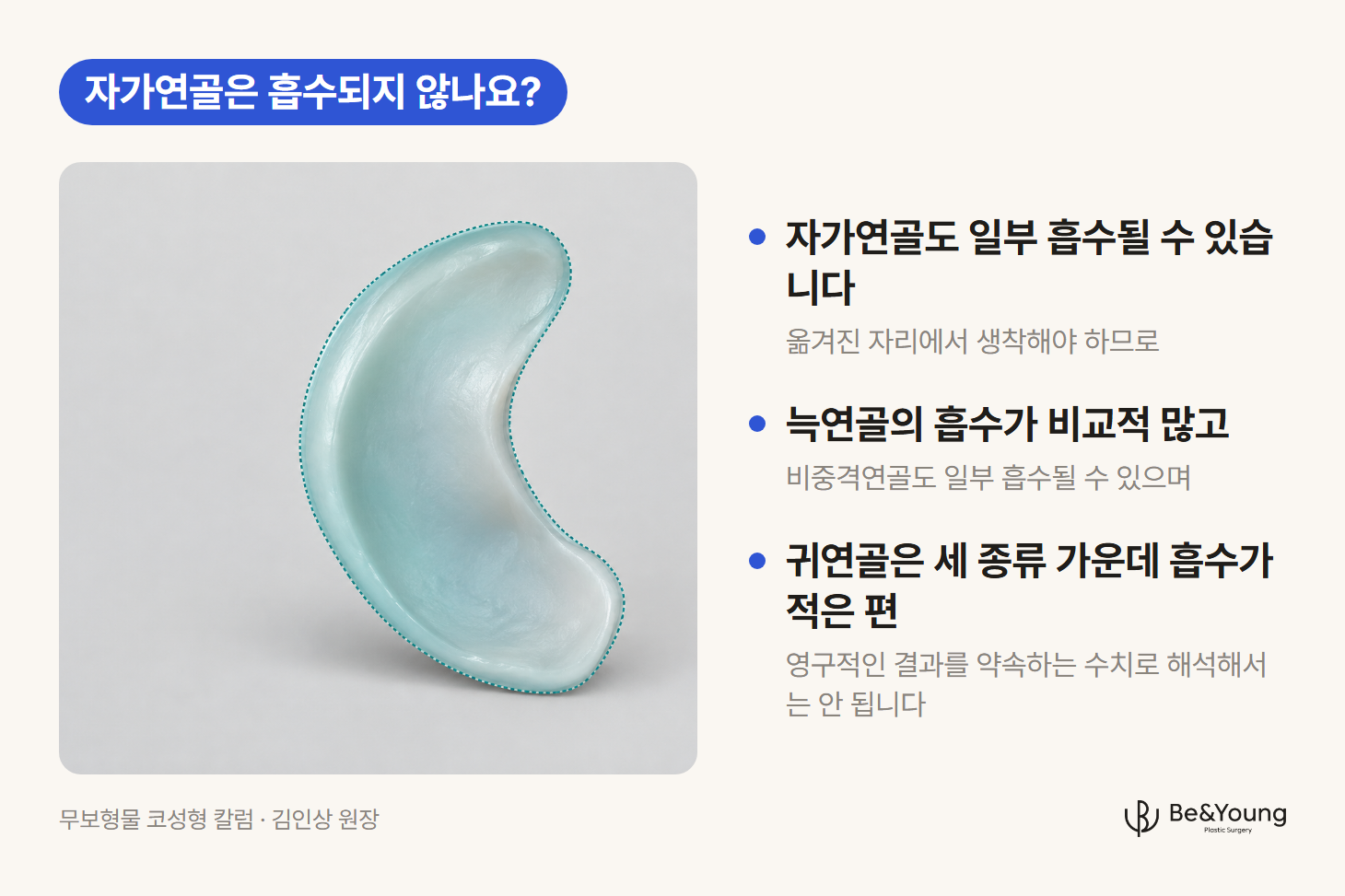 옮겨진 자리에서 생착하는 자가연골 조각의 표면을 티일 반투명 영역으로 표시한 일러스트