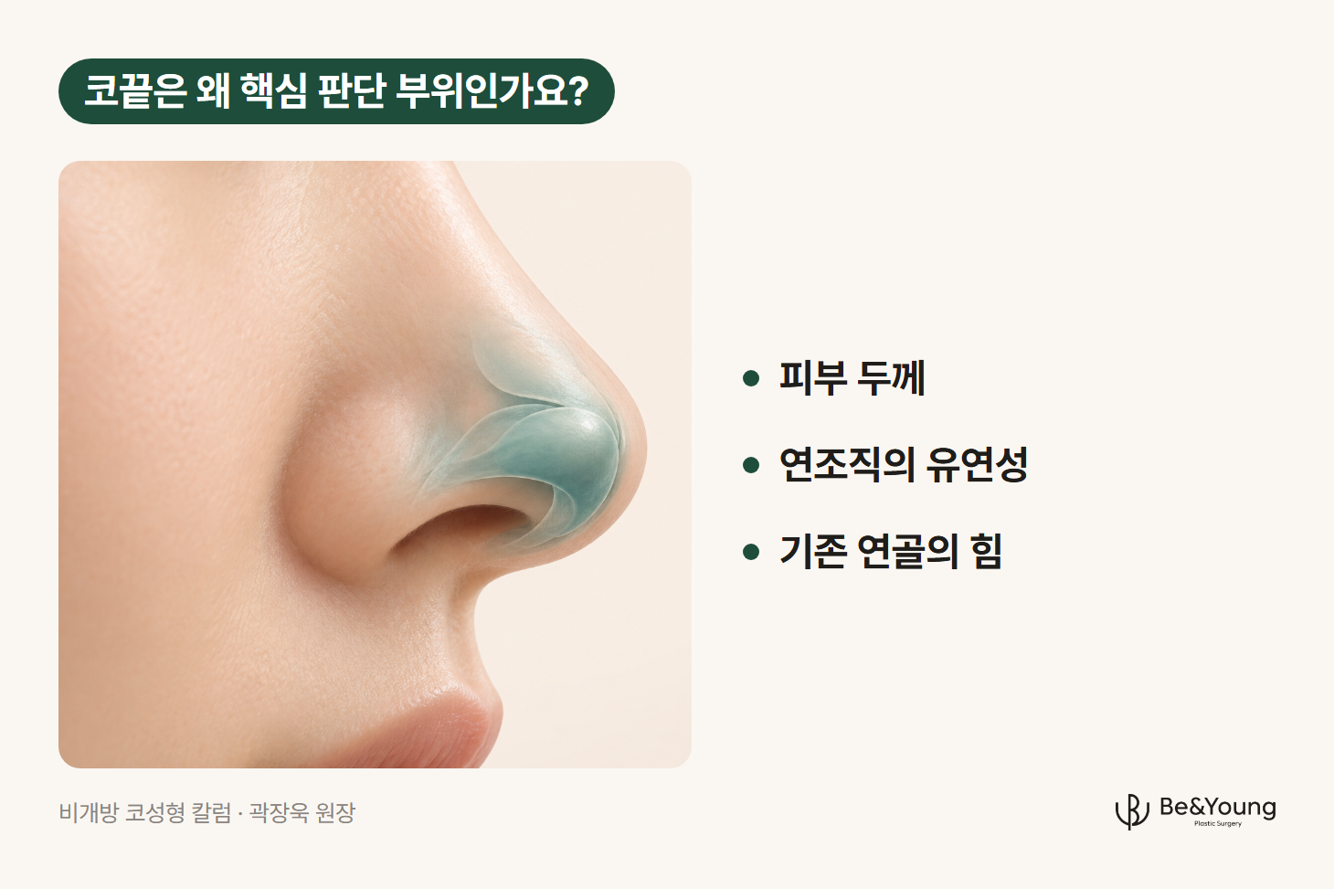 코끝을 가까이 잡은 오른쪽 측면에서 온전한 피부 아래 코끝 연골만 반투명하게 보여주는 일러스트