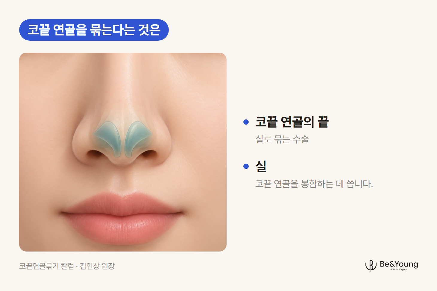 정면 코끝 피부 아래에 좌우 연골이 청록색으로 비쳐 보이는 도해