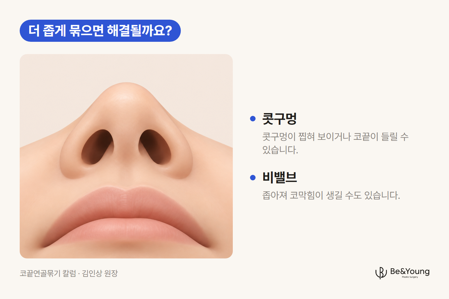아래에서 본 코끝과 양쪽 콧구멍, 가운데 비주가 보이는 도해