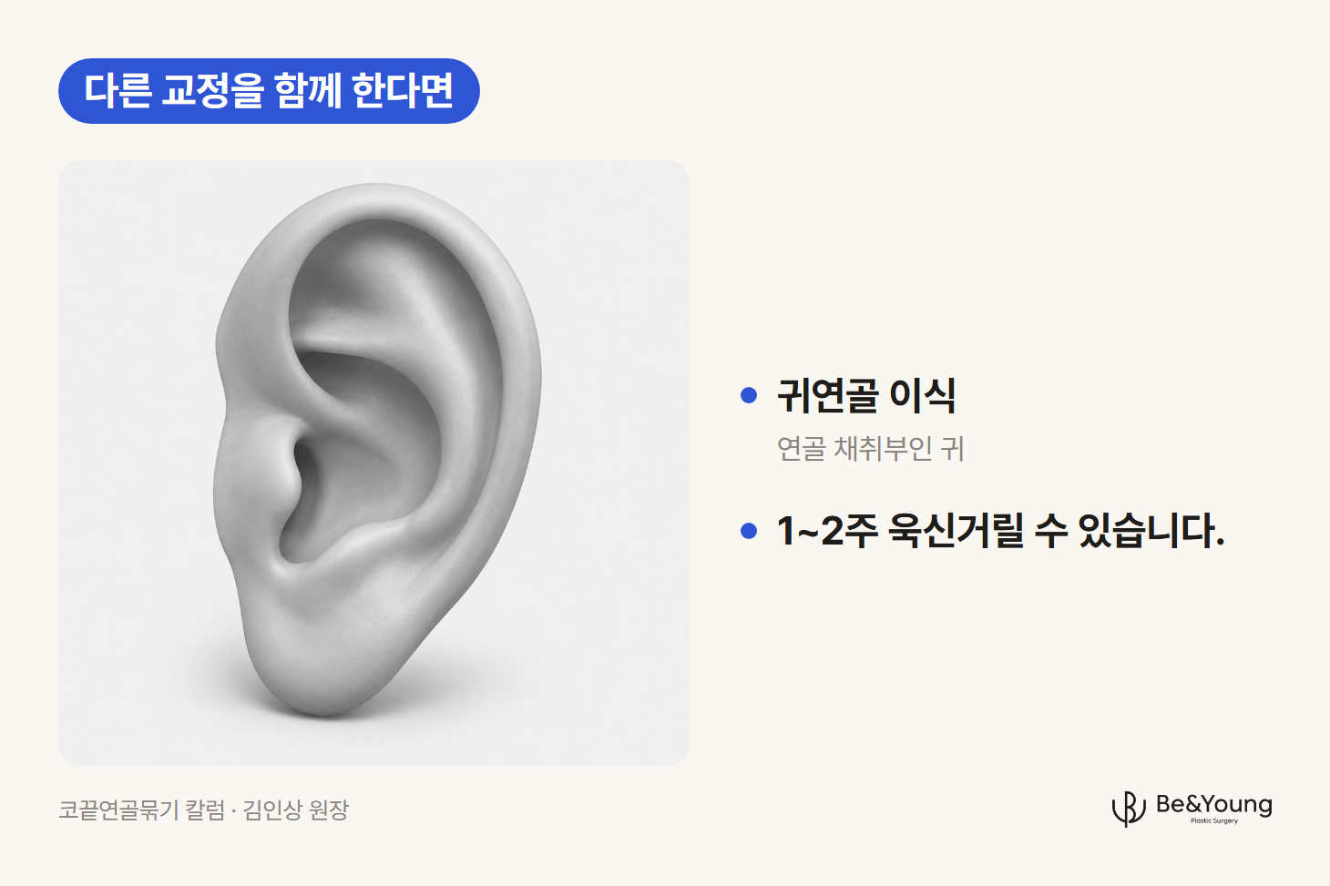바깥 테두리와 안쪽 굴곡, 귓불이 보이는 회색 귀 모형