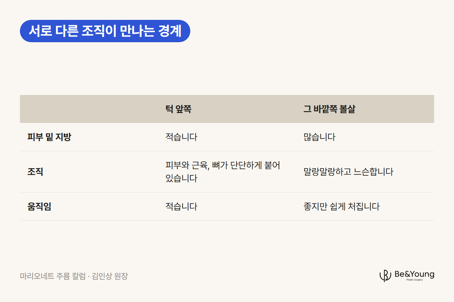 마리오네트 주름이 생기는 경계, 곧 턱 앞쪽과 그 바깥쪽 볼살의 지방·조직·움직임 차이를 정리한 표