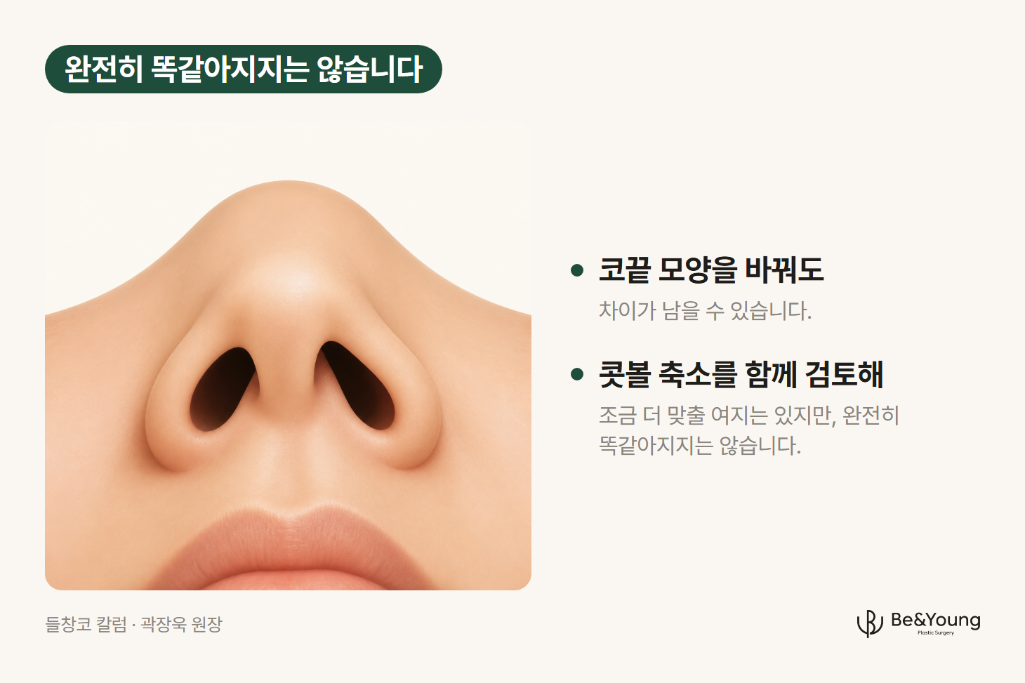 들창코의 콧구멍 짝짝이, 양쪽 콧구멍의 모양과 크기가 다른 코를 아래에서 올려다본 일러스트