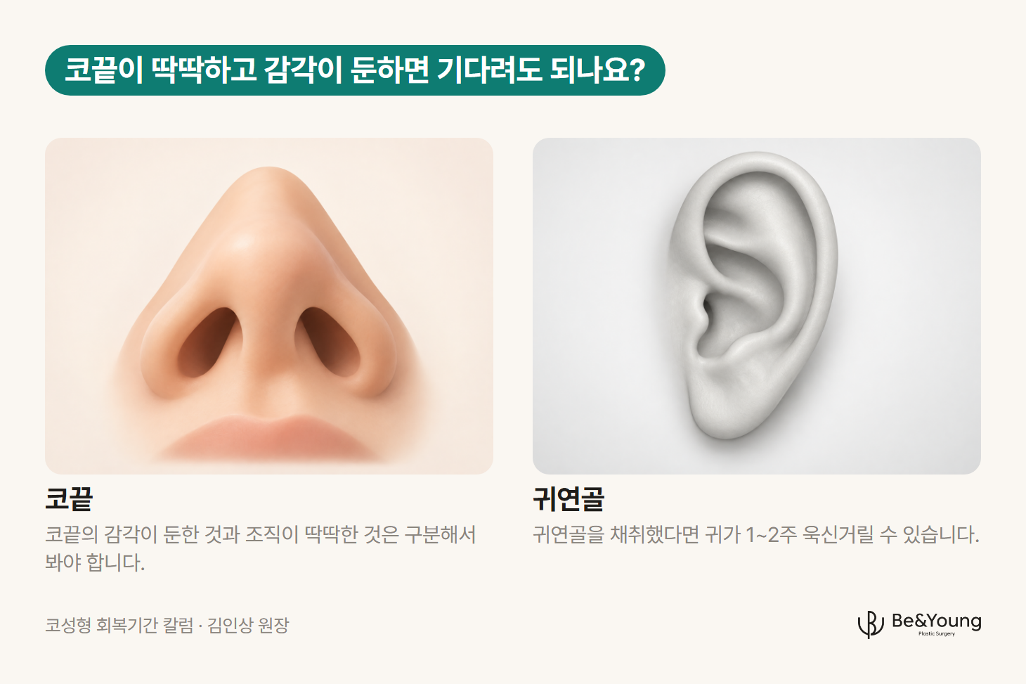 아래에서 본 코끝과 양쪽 콧구멍 일러스트, 그리고 회색 귀 모형