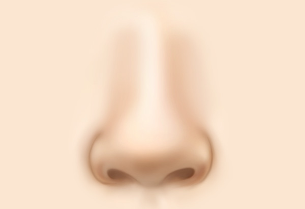 Type-Specific Rhinoplasty